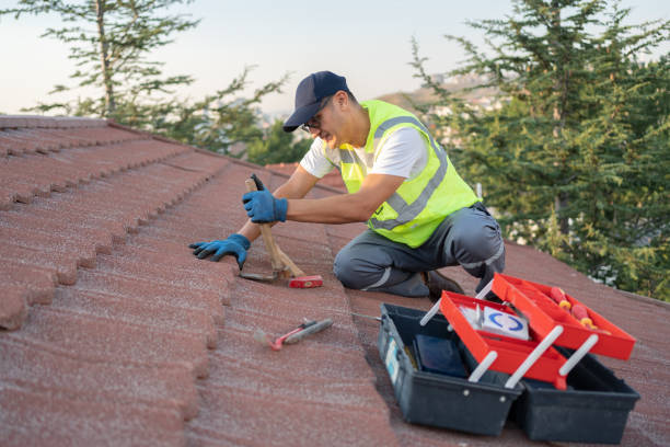 Best Metal Roofing Contractor  in Canton, TX