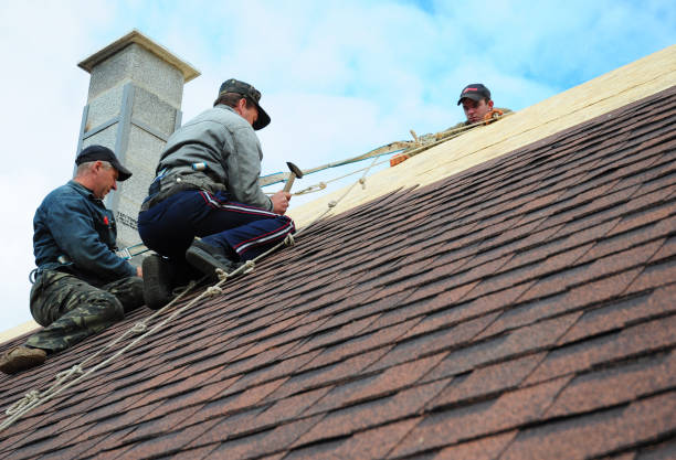 Best Flat Roof Repair Services  in Canton, TX